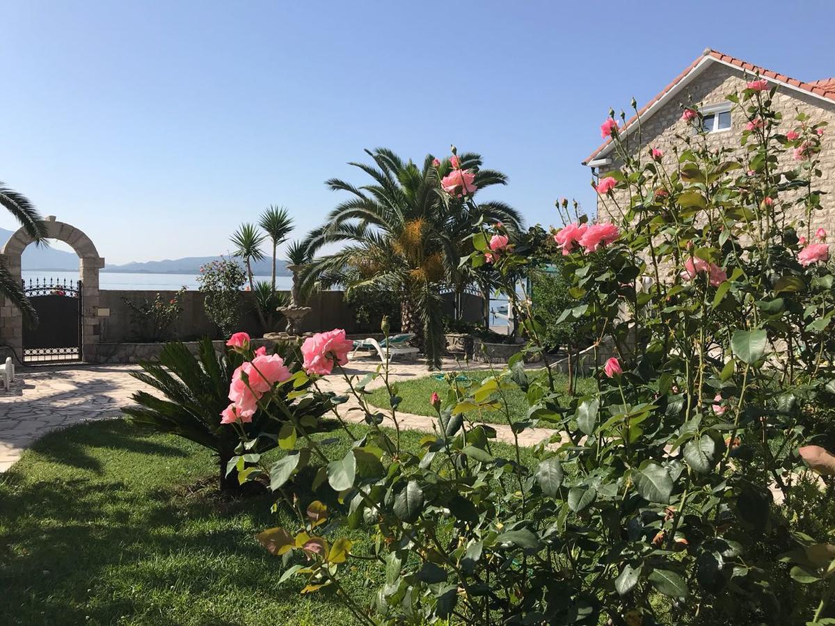 Apartments Apple Cat Montenegro Ko Бієла Екстер'єр фото